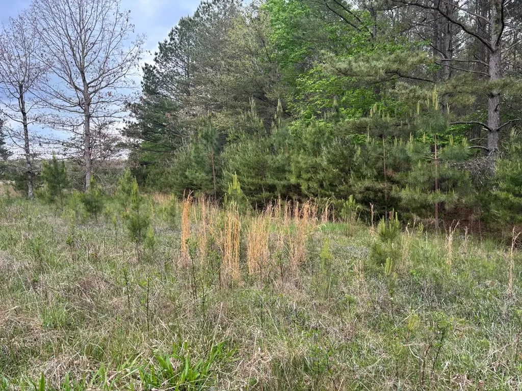 Lot 53 Pioneer Lane Spencer TN 38585