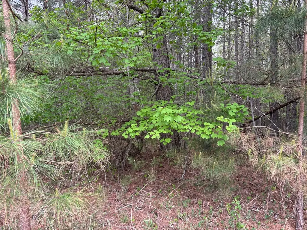 Lot 53 Pioneer Lane Spencer TN 38585