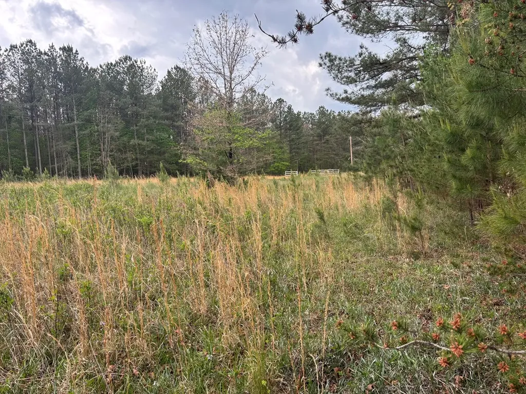 Lot 53 Pioneer Lane Spencer TN 38585