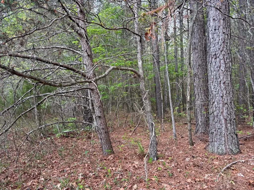 Lot 53 Pioneer Lane Spencer TN 38585