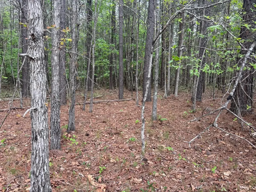 Lot 53 Pioneer Lane Spencer TN 38585