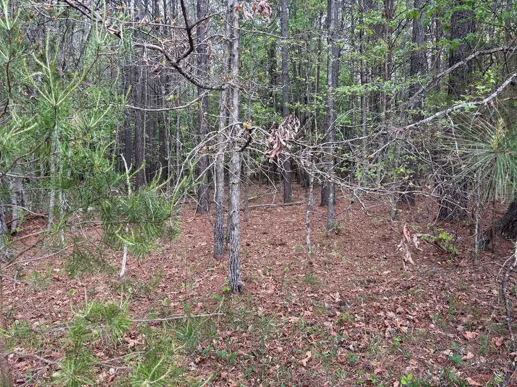 Lot 53 Pioneer Lane Spencer TN 38585