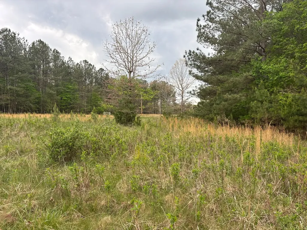 Lot 53 Pioneer Lane Spencer TN 38585