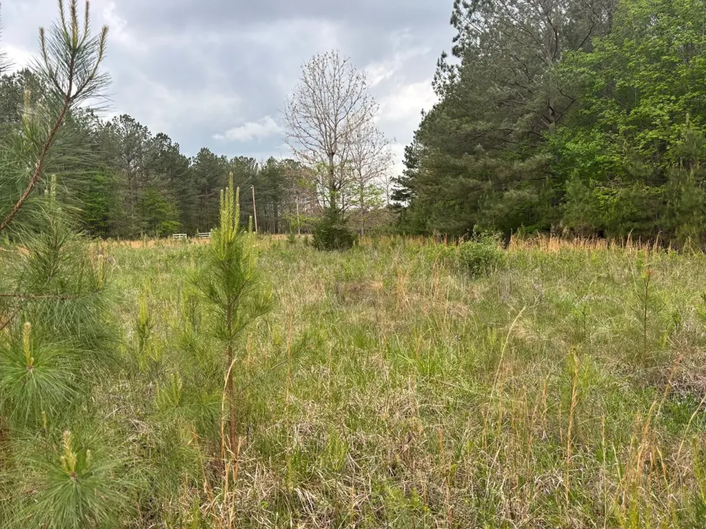 Lot 53 Pioneer Lane Spencer TN 38585