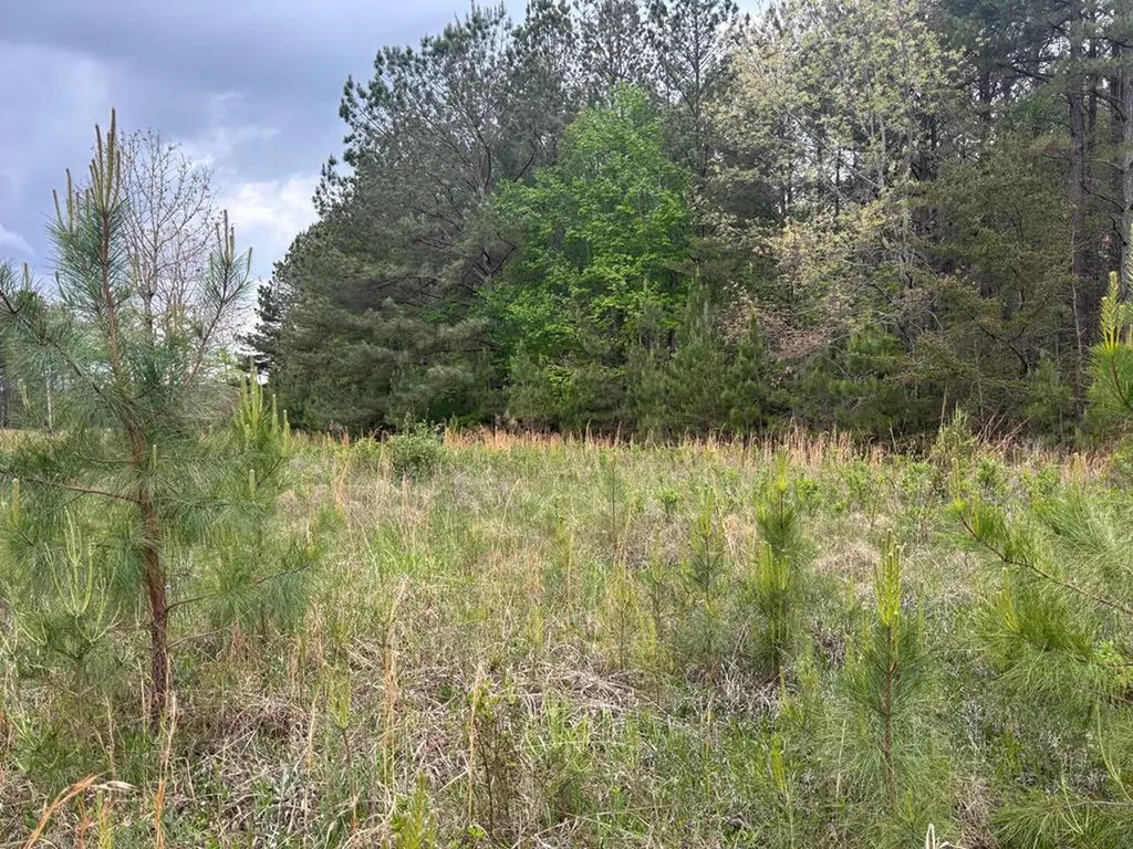 Lot 53 Pioneer Lane Spencer TN 38585