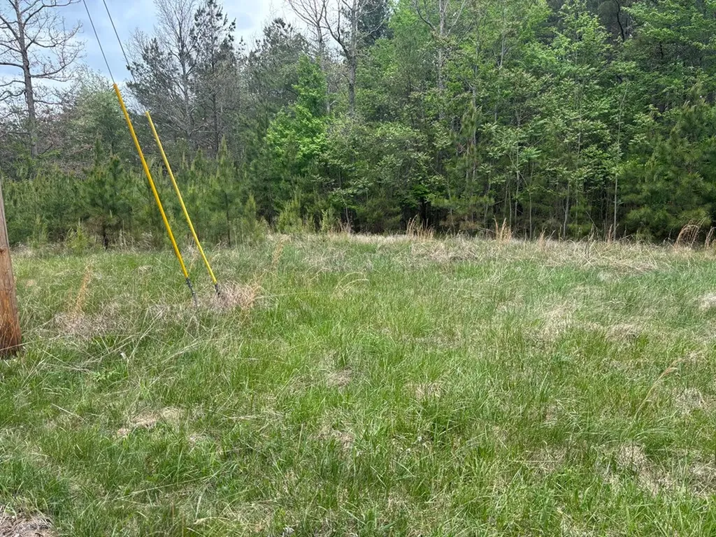 Lot 53 Pioneer Lane Spencer TN 38585