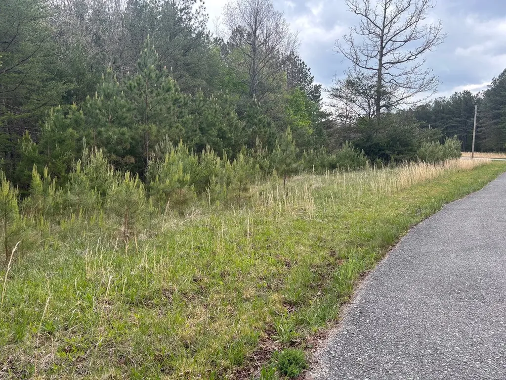 Lot 53 Pioneer Lane Spencer TN 38585