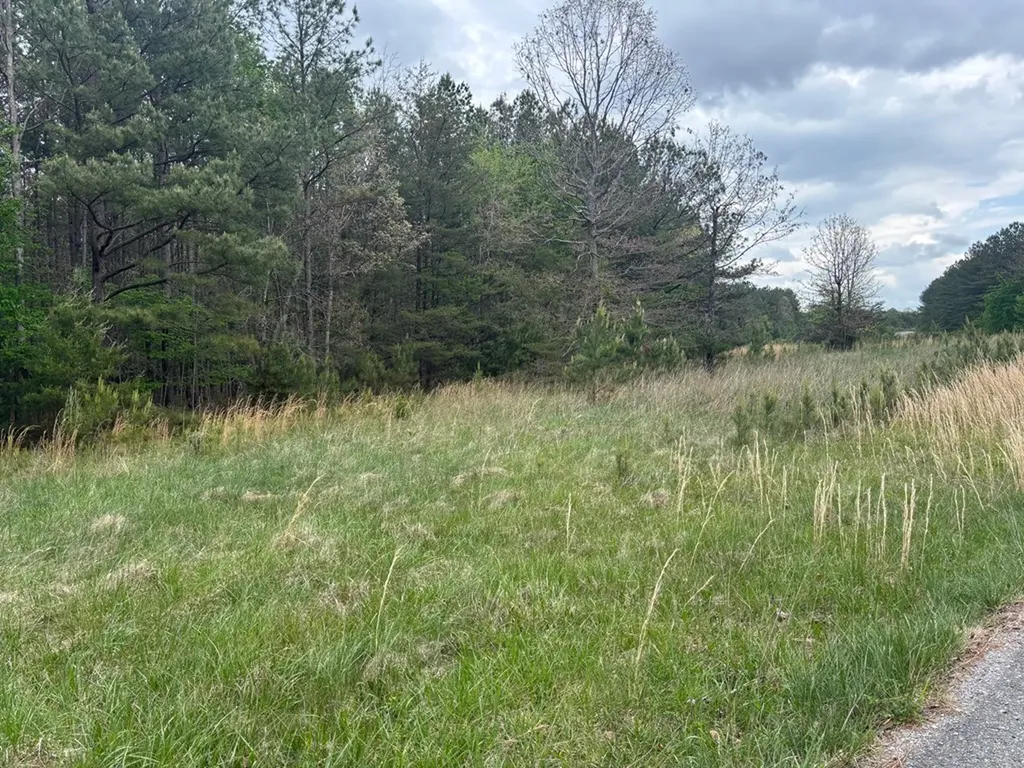 Lot 53 Pioneer Lane Spencer TN 38585