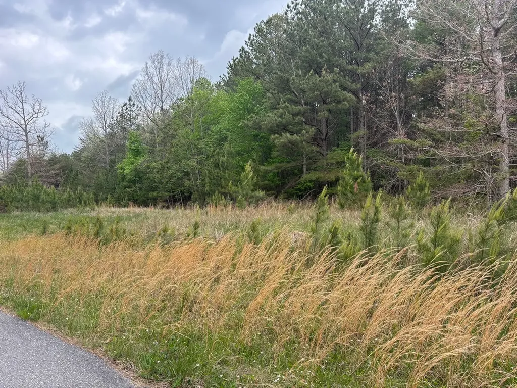 Lot 53 Pioneer Lane Spencer TN 38585