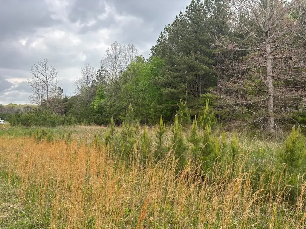 Lot 53 Pioneer Lane Spencer TN 38585