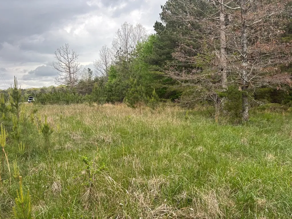 Lot 53 Pioneer Lane Spencer TN 38585