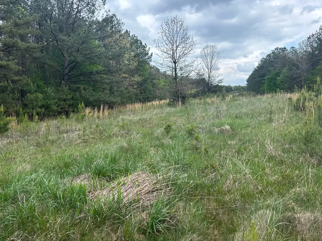 Lot 53 Pioneer Lane Spencer TN 38585