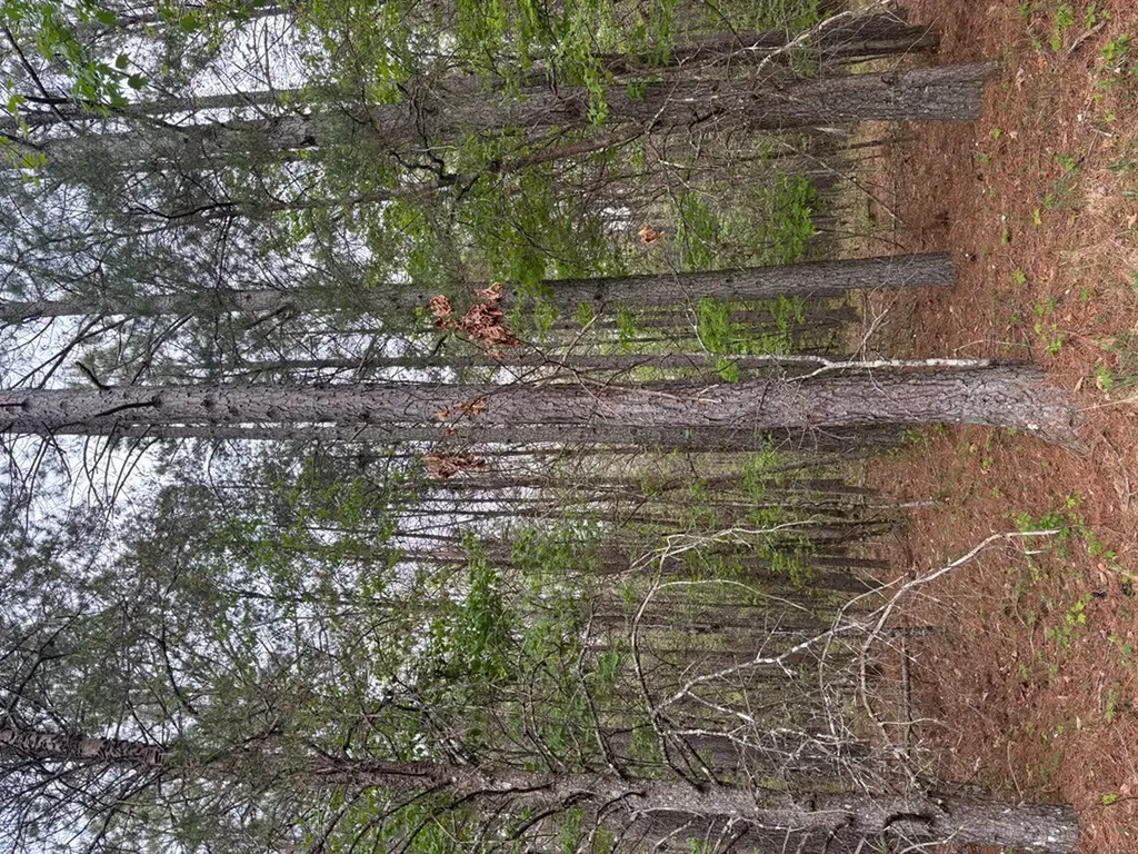 Lot 53 Pioneer Lane Spencer TN 38585