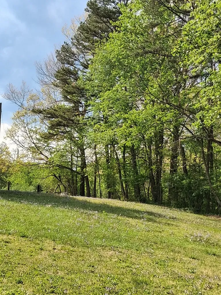 5740 South York Highway Clarkrange TN 38553