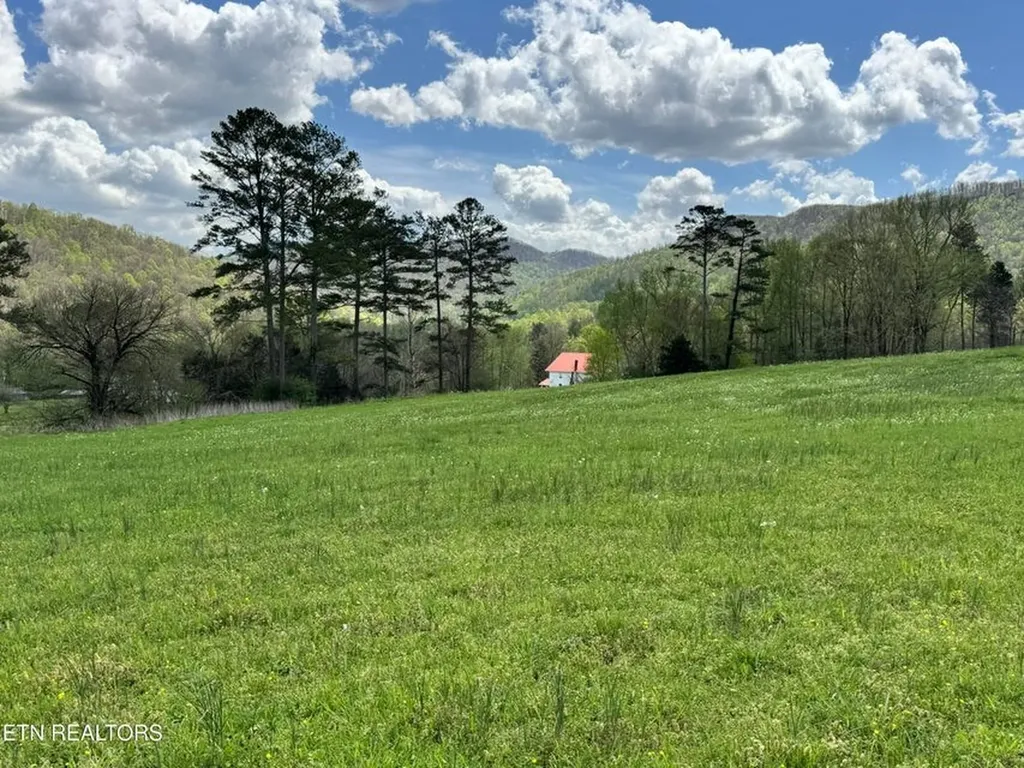 112 Shiloh Road Crawford TN 38554-3800