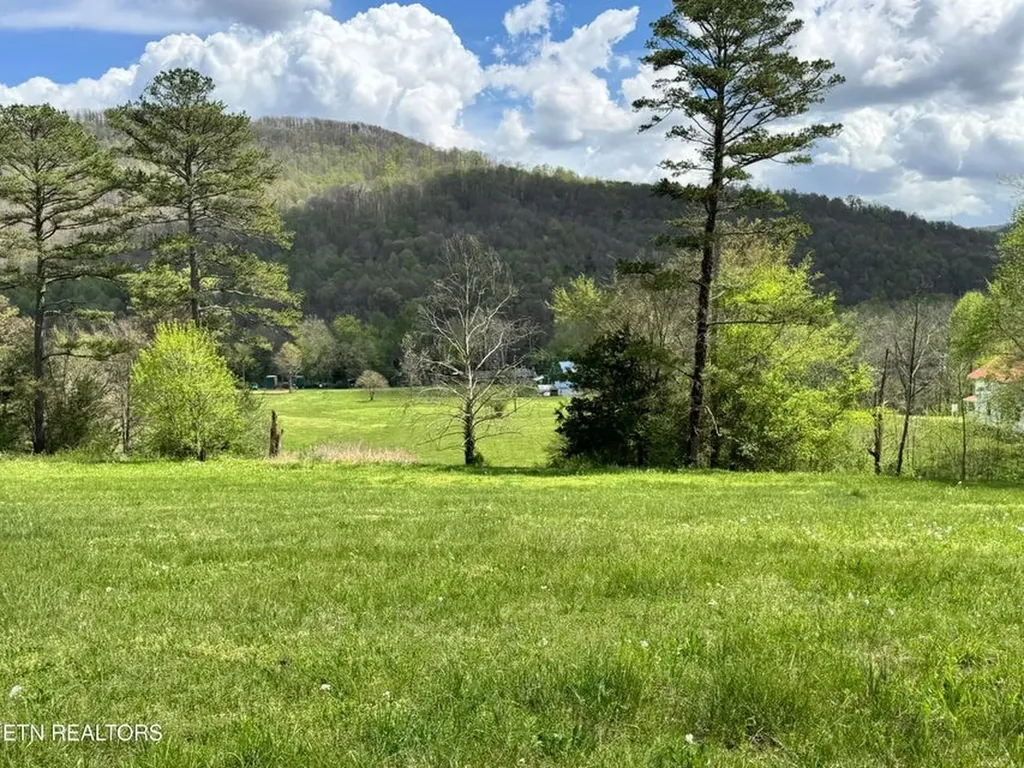 112 Shiloh Road Crawford TN 38554-3800