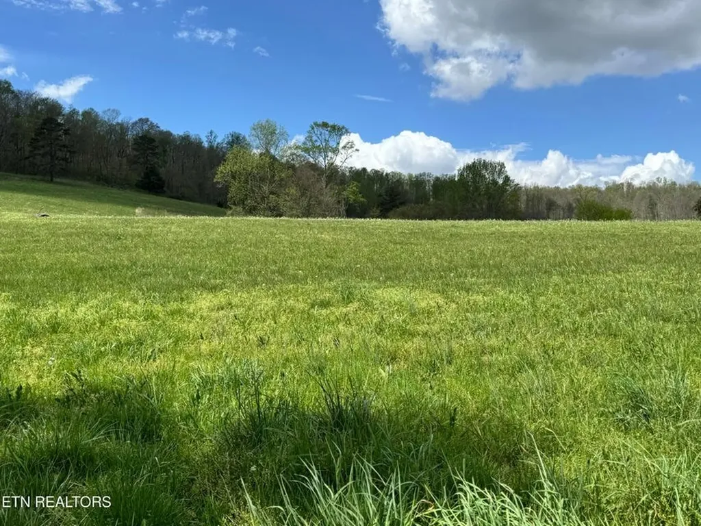 112 Shiloh Road Crawford TN 38554-3800