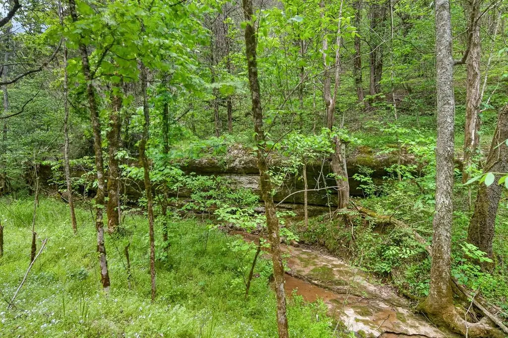 360 Long Hollow Lane Gainesboro TN 38562
