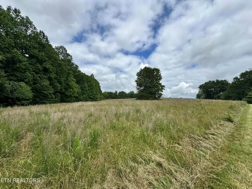 1759 Meister Hills Road Deer Lodge TN 37726