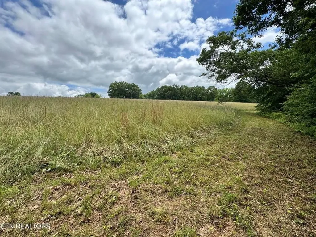 1759 Meister Hills Road Deer Lodge TN 37726