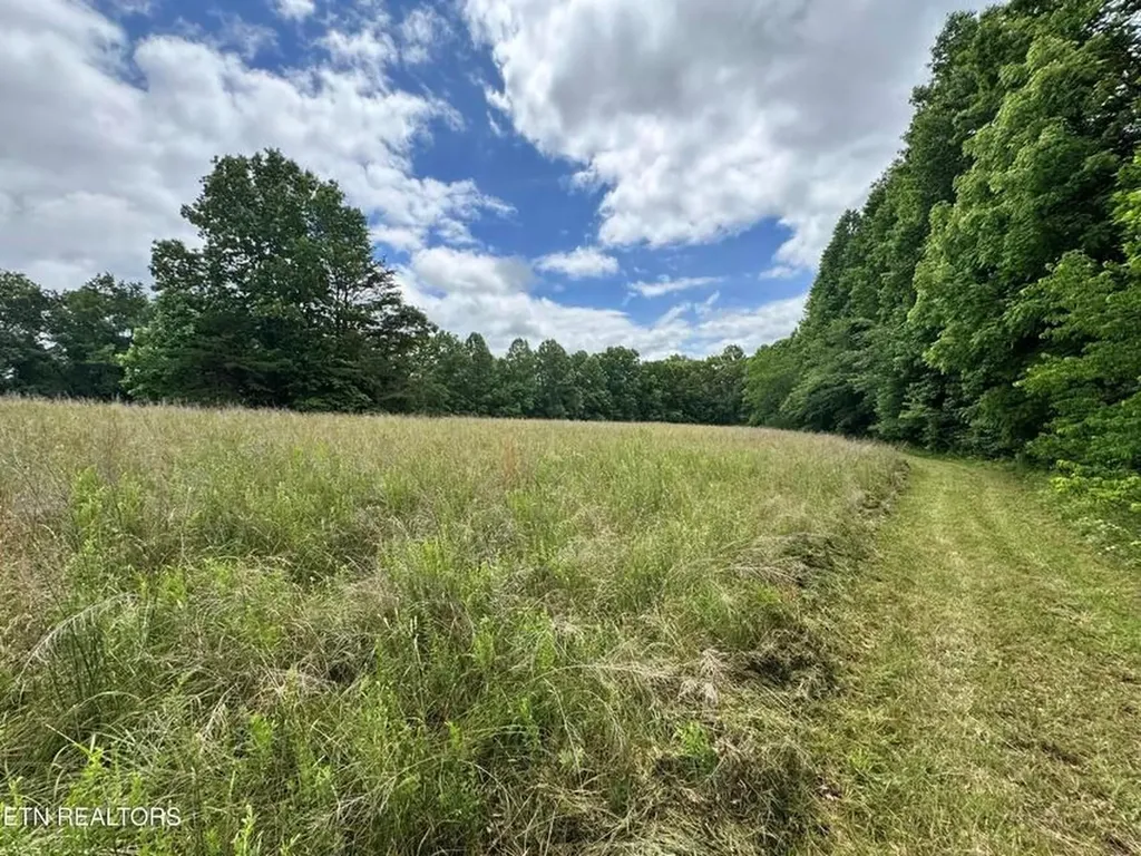 1759 Meister Hills Road Deer Lodge TN 37726