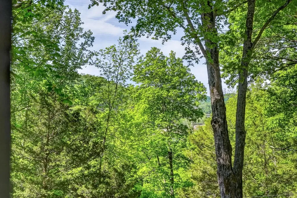1097 Floating Mill Village Road Silver Point TN 38582-7906