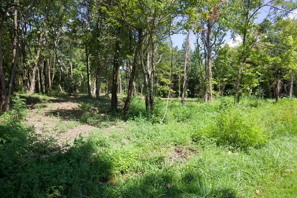 204 Vandy Circle Sparta TN 38583