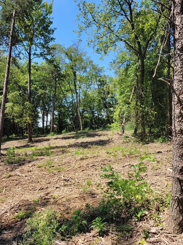 204 Vandy Circle Sparta TN 38583