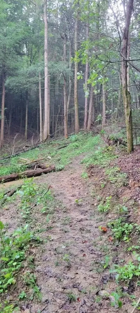 150 Acre Prong Of Clear Fork Jamestown TN 38566