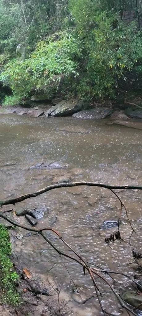 150 Acre Prong Of Clear Fork Jamestown TN 38566