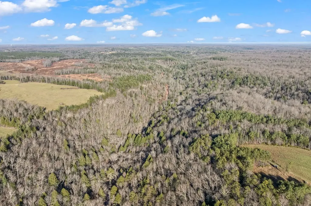 150 Acre Prong Of Clear Fork Jamestown TN 38566
