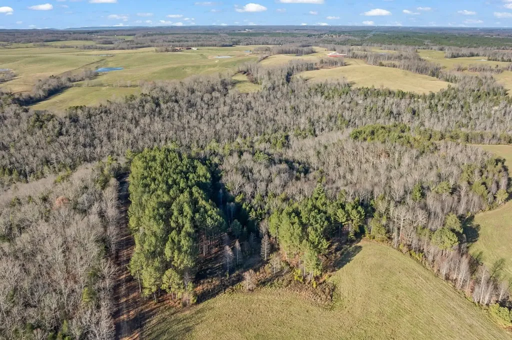 150 Acre Prong Of Clear Fork Jamestown TN 38566