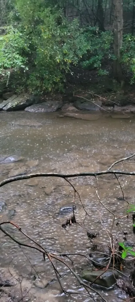 150 Acre Prong Of Clear Fork Jamestown TN 38566