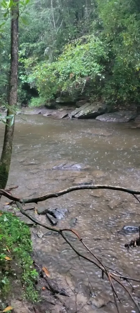 150 Acre Prong Of Clear Fork Jamestown TN 38566