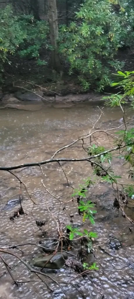 150 Acre Prong Of Clear Fork Jamestown TN 38566