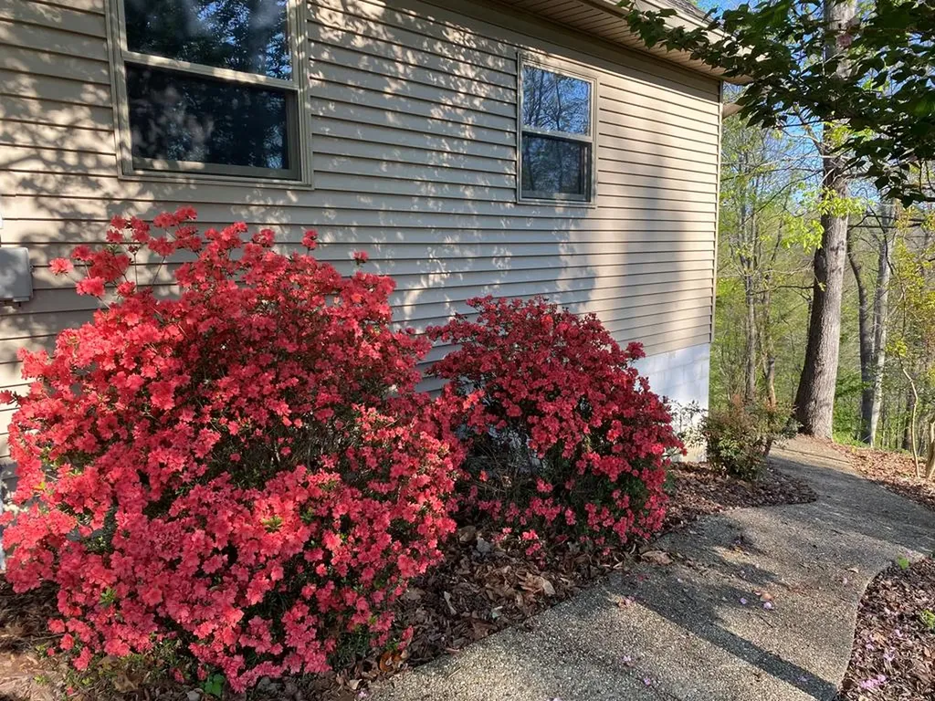 566 Mallard Byrdstown TN 38549