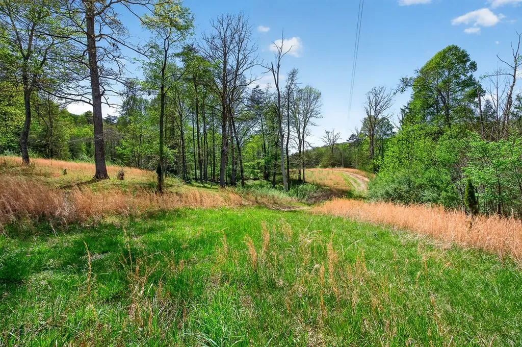 4877 Eastland Road Sparta TN 38583