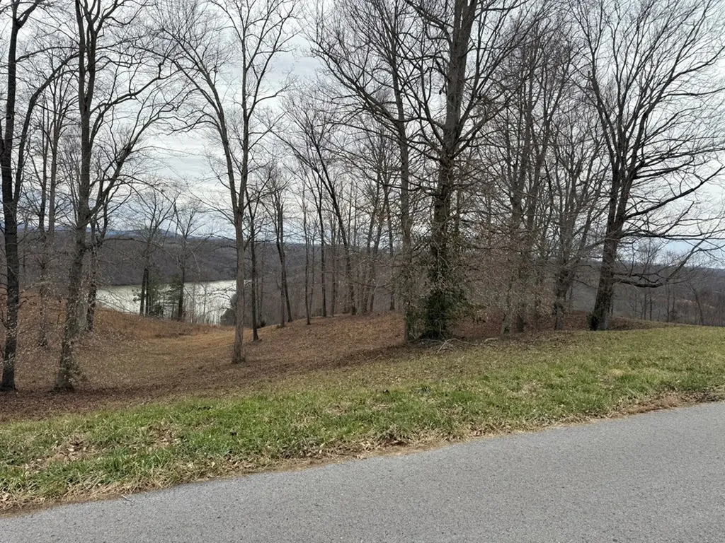Lot 7 Amonett Circle Byrdstown TN 38549