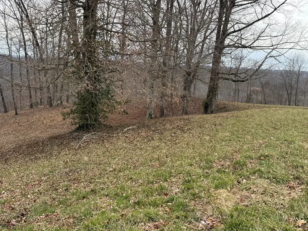 Lot 7 Amonett Circle Byrdstown TN 38549