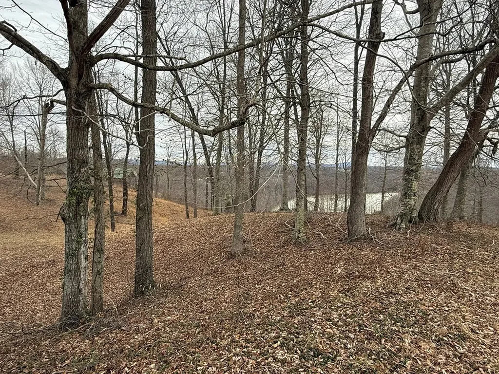 Lot 7 Amonett Circle Byrdstown TN 38549