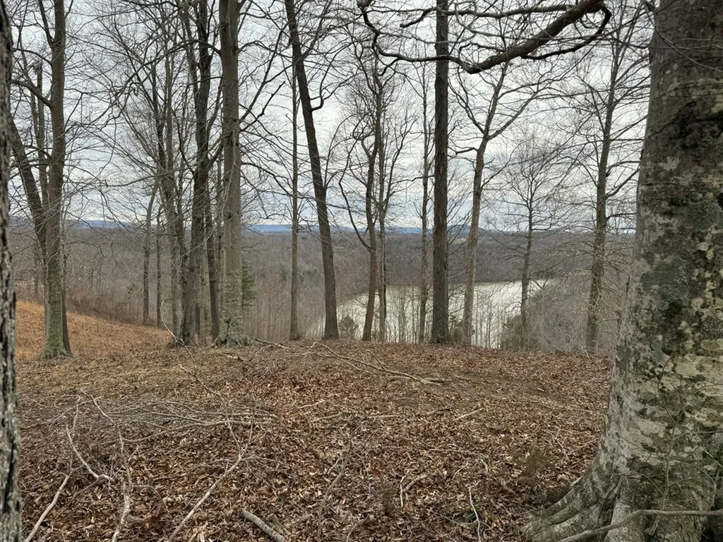 Lot 7 Amonett Circle Byrdstown TN 38549