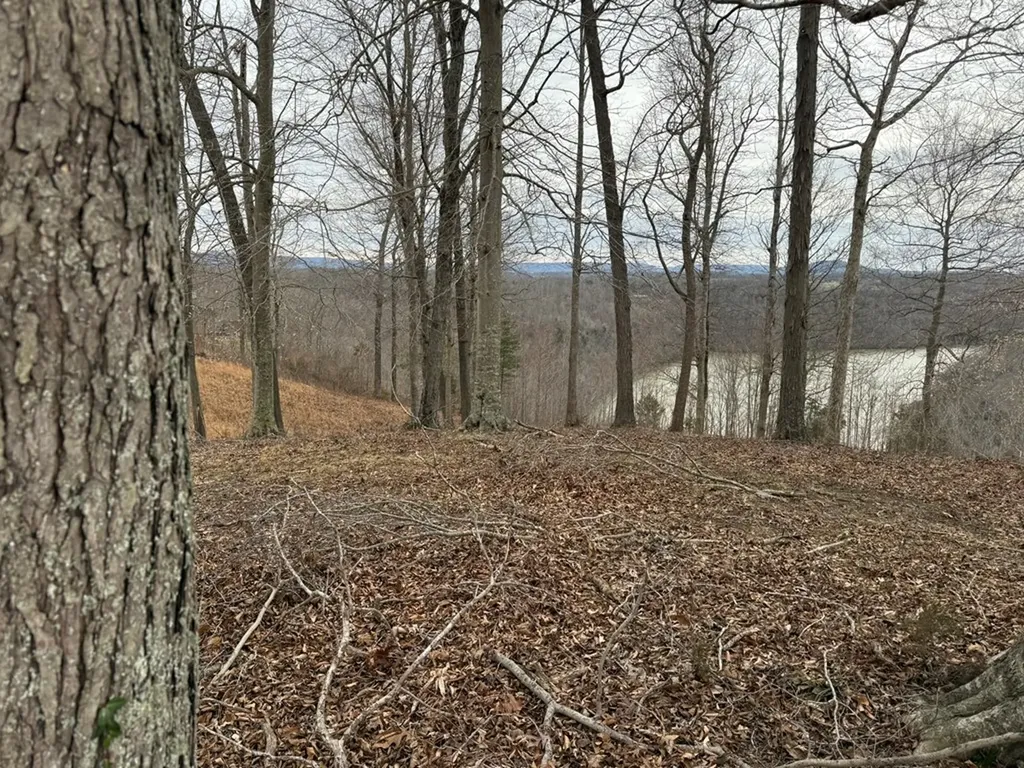 Lot 7 Amonett Circle Byrdstown TN 38549