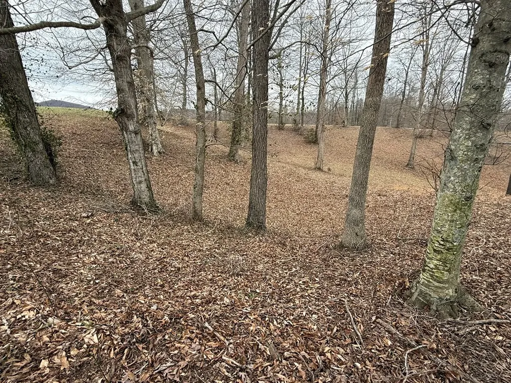 Lot 7 Amonett Circle Byrdstown TN 38549