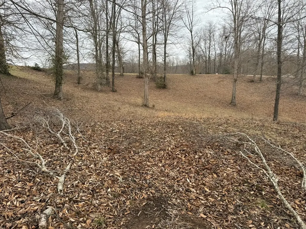 Lot 7 Amonett Circle Byrdstown TN 38549