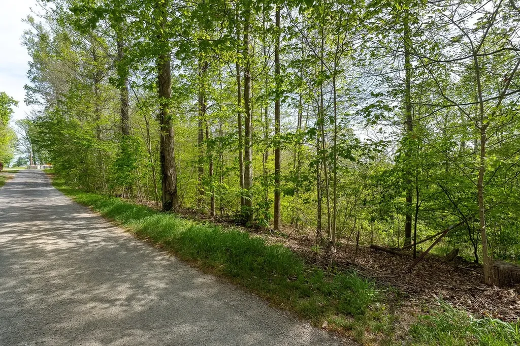 Lot 75 Backbone Road Sparta TN 38583
