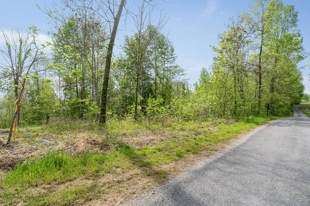Lot 75 Backbone Road Sparta TN 38583