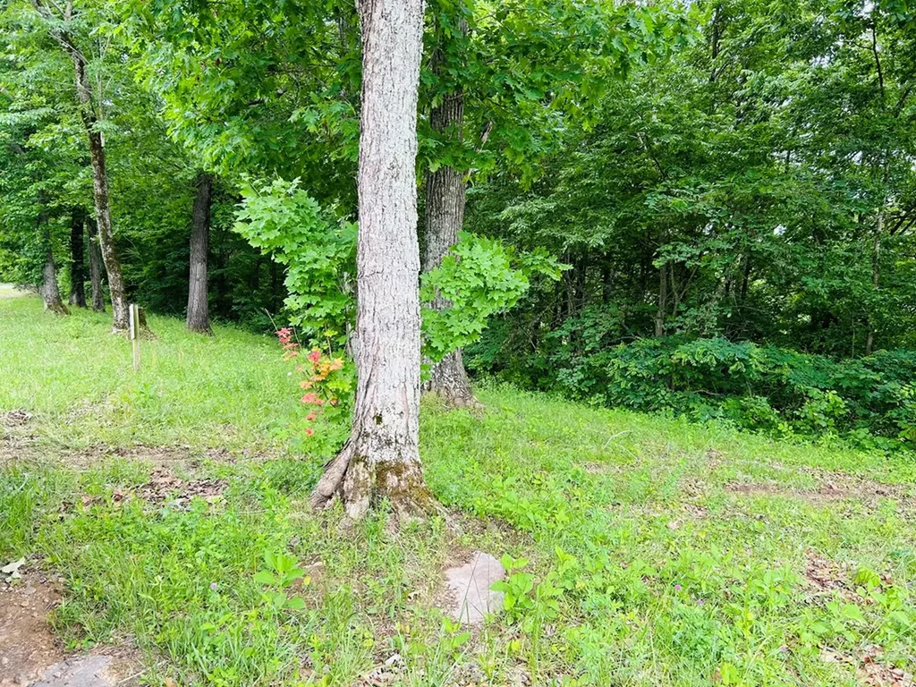 Lot 152c Swan Ridge Road Hilham TN 38568