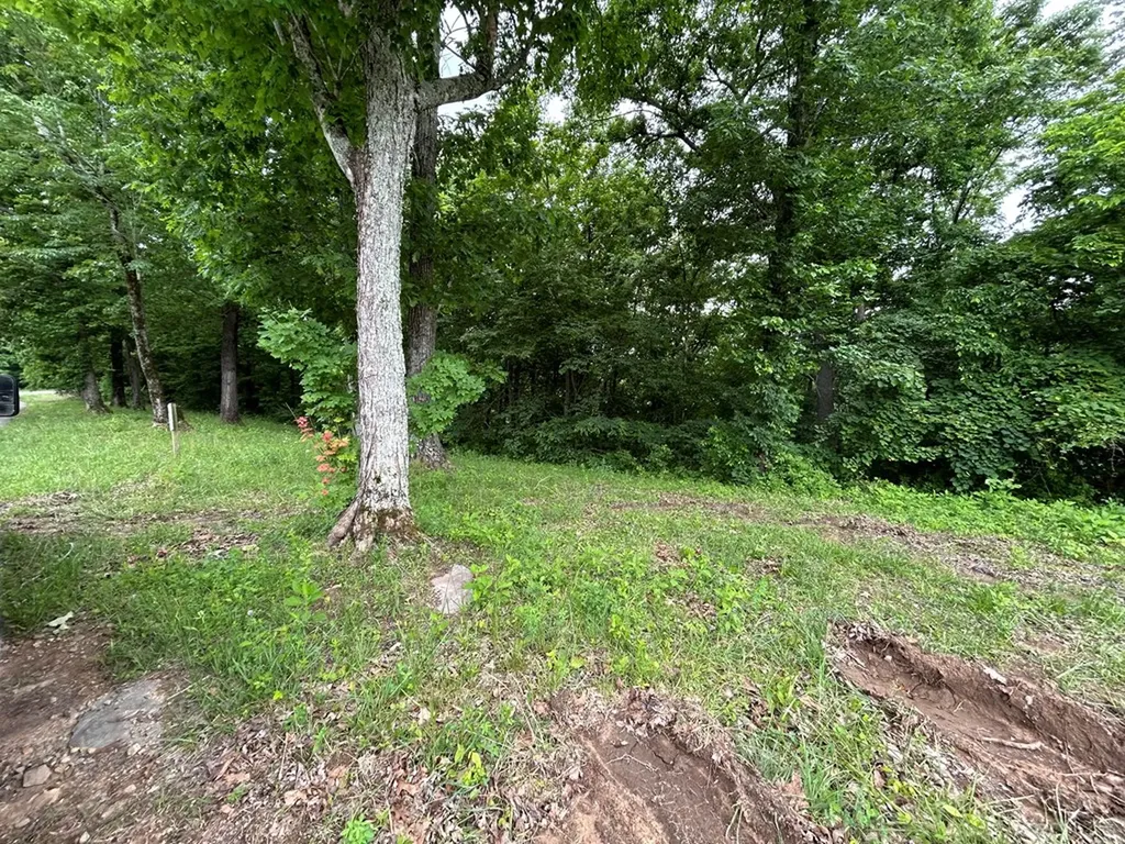 Lot 152c Swan Ridge Road Hilham TN 38568