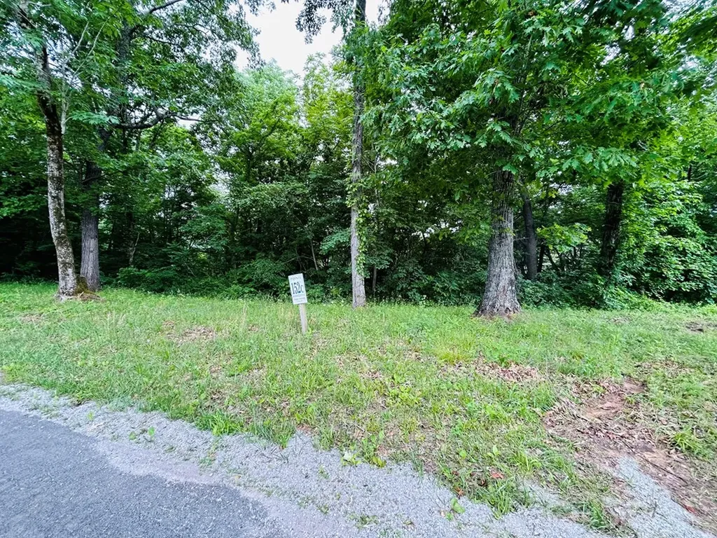 Lot 152c Swan Ridge Road Hilham TN 38568