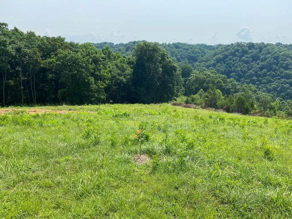 Lot 11 H O Allison Baxter TN 38544